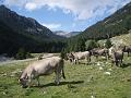 Pyrenees 2011 082